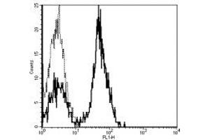 Image no. 1 for anti-CD28 (CD28) antibody (FITC) (ABIN474160) (CD28 antibody  (FITC))