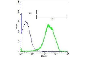 Mouse splenocytes probed with Rabbit Anti-IL-22 Polyclonal Antibody, PE-Cy5 Conjugated . (IL-22 antibody  (AA 35-179))