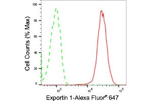 Flow cytometric analysis of Exportin 1 expression in HepG2 cells using Exportin 1 antibody (ABIN7798550), 1:2,000).