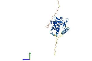 AlphaFold protein structure predicition of Mouse Recombinant Clec2h Protein, UniprotID Q8C1T8 (C-Type Lectin Domain Family 2, Member H (CLEC2H) (AA 1-218) protein (His tag))