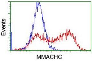 Flow Cytometry (FACS) image for anti-Methylmalonic Aciduria (Cobalamin Deficiency) CblC Type, with Homocystinuria (MMACHC) antibody (ABIN1499513) (MMACHC antibody)