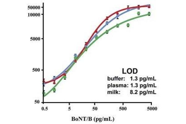 Botulinum Neurotoxin Type B (BoNT/B) antibody