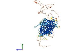 AlphaFold protein structure predicition of Mouse Recombinant Bbs12 Protein, UniprotID Q5SUD9