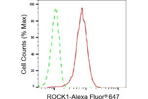 Flow cytometric analysis of ROCK1 expression in HeLa cells using ROCK1 antibody (ABIN7800203), 1:2,000). (Recombinant ROCK1 antibody)