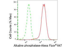 Flow cytometric analysis of Alkaline phosphatase expression in HeLa cells using Alkaline phosphatase antibody (ABIN7797575), 1:2,000). (Recombinant Alkaline Phosphatase antibody)