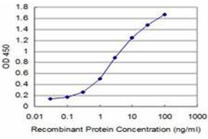 Detection limit for recombinant GST tagged HEY1 is approximately 0. (HEY1 antibody  (AA 121-220))