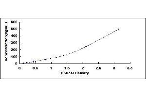 Typical standard curve
