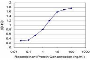 Detection limit for recombinant GST tagged KLF1 is approximately 0. (KLF1 antibody  (AA 183-237))