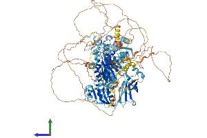 Protein Structure (PS) image for Phosphatidylinositol Transfer Protein, Membrane-Associated 2 (PITPNM2) (AA 1-1349) protein (His tag) (ABIN7554941)