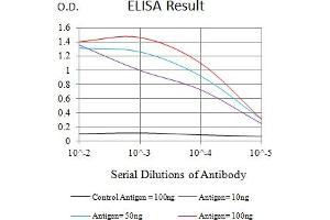 Black line: Control Antigen (100 ng),Purple line: Antigen (10 ng), Blue line: Antigen (50 ng), Red line:Antigen (100 ng) (ITGAL antibody  (AA 26-194))