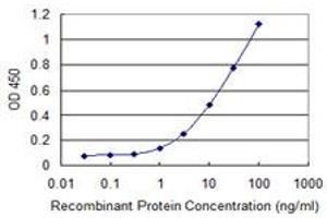 Detection limit for recombinant GST tagged TRIM72 is 0. (TRIM72 antibody  (AA 378-477))