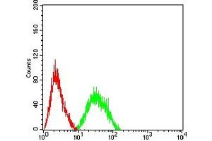 Flow cytometric analysis of Jurkat cells using CD3D mouse mAb (green) and negative control (red). (CD3D antibody  (AA 127-171))