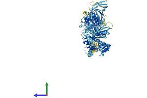 Protein Structure (PS) image for Myosin IA (MYO1A) (AA 1-1043) protein (His tag) (ABIN7562592)