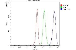 Flow Cytometry analysis of 293T cells using anti-TRMT10C antibody (ABIN7601472).