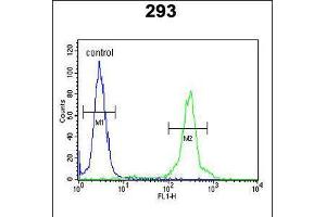 Flow cytometric analysis of 293 cells (right histogram) compared to a negative control cell (left histogram). (GLT8D2 antibody  (N-Term))