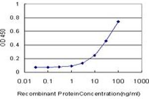 Detection limit for recombinant GST tagged HABP2 is approximately 1ng/ml as a capture antibody. (HABP2 antibody  (AA 105-204))