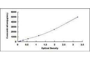 Typical standard curve (S100A12 ELISA Kit)