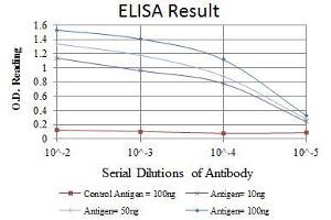 Red: Control Antigen (100 ng), Purple: Antigen (10 ng), Green: Antigen (50 ng), Blue: Antigen (100 ng), (FYN antibody)