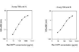 ELISA image for Ciliary Neurotrophic Factor (CNTF) ELISA Kit (ABIN625191) (CNTF ELISA Kit)