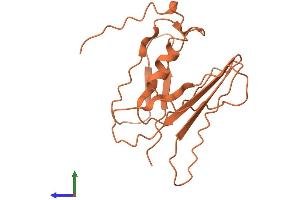 AlphaFold protein structure predicition of Human Recombinant FAM106A Protein, UniprotID Q4KMX7 (FAM106A Protein (AA 1-169) (His tag))
