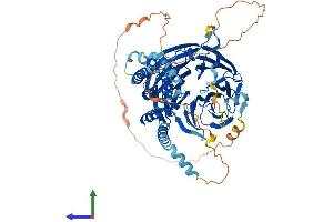 AlphaFold protein structure predicition of Human Recombinant KATNB1 Protein, UniprotID Q9BVA0 (KATNB1 Protein (AA 1-655) (His tag))