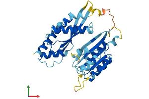 AlphaFold protein structure predicition of Mouse Recombinant Rwdd2b Protein, UniprotID Q99M03 (RWDD2B Protein (AA 1-290) (His tag))