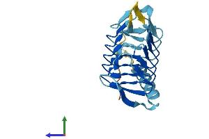 AlphaFold protein structure predicition of Human Recombinant DCTN5 Protein, UniprotID Q9BTE1