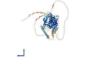 AlphaFold protein structure predicition of Human Recombinant KIF2B Protein, UniprotID Q8N4N8 (KIF2B Protein (AA 1-673) (His tag))