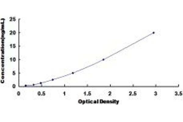 TNPO2 ELISA Kit