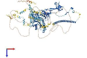 BMS1 Homolog, Ribosome Assembly Protein (BMS1) (AA 1-1282) protein (His tag)