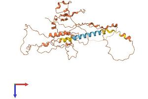 AlphaFold protein structure predicition of Human Recombinant FAM157B Protein, UniprotID P0CG42 (FAM157B Protein (AA 1-384) (His tag))