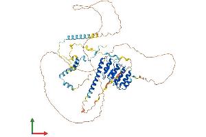 Protein Structure (PS) image for Leiomodin 1 (LMOD1) (AA 1-595) protein (His tag) (ABIN7558917)