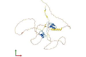 AlphaFold protein structure predicition of Mouse Recombinant Gata1 Protein, UniprotID P17679 (GATA1 Protein (AA 1-413) (His tag))