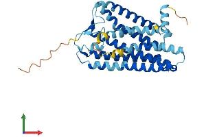AlphaFold protein structure predicition of Human Recombinant OR3A2 Protein, UniprotID P47893 (OR3A2 Protein (AA 1-321) (His tag))