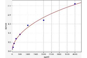 TIMP4 ELISA Kit