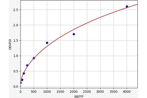 TIMP4 ELISA Kit