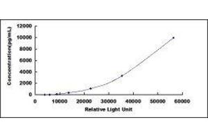 Typical standard curve (SERPINB3 CLIA Kit)