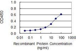 Detection limit for recombinant GST tagged OBSCN is 0. (Obscurin antibody  (AA 1551-1649))