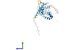 AlphaFold protein structure predicition of Mouse Recombinant Ovol2 Protein, UniprotID Q8CIV7 (OVOL2 Protein (AA 1-274) (His tag))