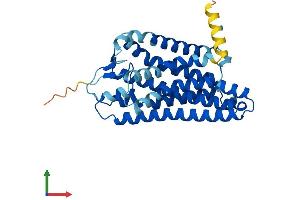 AlphaFold protein structure predicition of Human Recombinant OR51A7 Protein, UniprotID Q8NH64 (OR51A7 Protein (AA 1-312) (His tag))