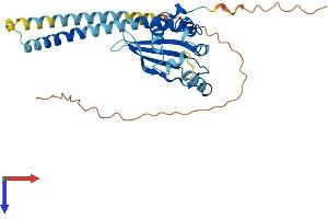 Protein Structure (PS) image for Testis Specific Protein, Y-Linked 8 (TSPY8) (AA 1-308) protein (His tag) (ABIN7544783)