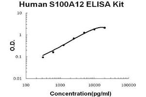 Human S100A12 PicoKine ELISA Kit standard curve (S100A12 ELISA Kit)