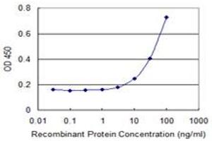 Detection limit for recombinant GST tagged KLF8 is 3 ng/ml as a capture antibody. (KLF8 antibody  (AA 1-98))