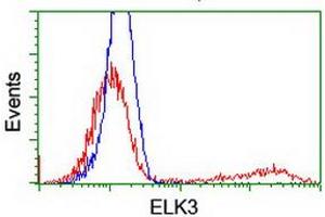 HEK293T cells transfected with either RC203114 overexpress plasmid (Red) or empty vector control plasmid (Blue) were immunostained by anti-ELK3 antibody (ABIN2455035), and then analyzed by flow cytometry. (ELK3 antibody)
