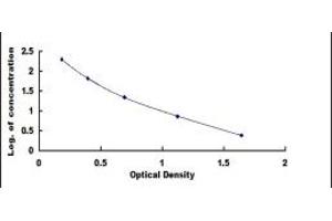 Typical standard curve (FGF23 ELISA Kit)