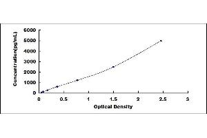 MMP8 ELISA Kit