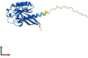 AlphaFold protein structure predicition of Human Recombinant RAB24 Protein, UniprotID Q969Q5