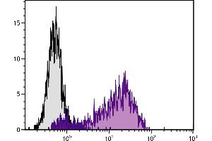 PMA and ionomycin stimulated human endothelial cell line HUV-EC-C was stained with Mouse Anti-Human CD62E/CD62P-PE. (P-Selectin antibody  (SPRD))