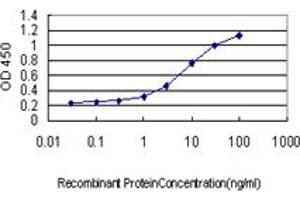 Detection limit for recombinant GST tagged KLF11 is approximately 0. (KLF11 antibody  (AA 404-512))