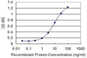 Detection limit for recombinant GST tagged RHOBTB3 is 0. (RHOBTB3 antibody  (AA 1-99))